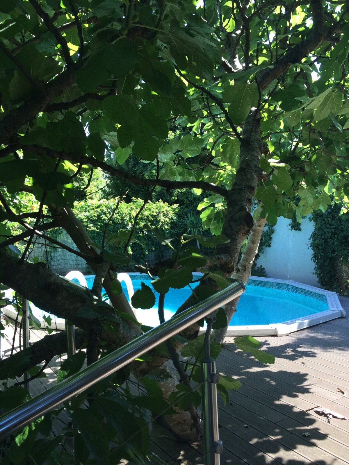 Photo 2 : Maison Côte Pavée