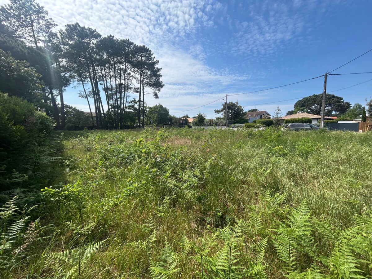 Photo 1 : Terrain - Gujan-Mestras - 853m²