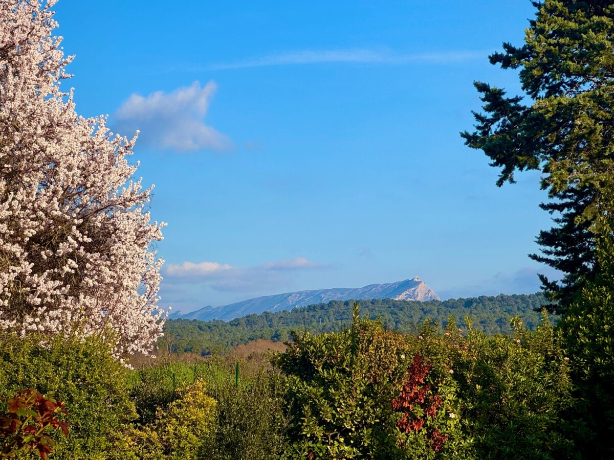Photo 1 : Maison - Aix-en-Provence - 140m²