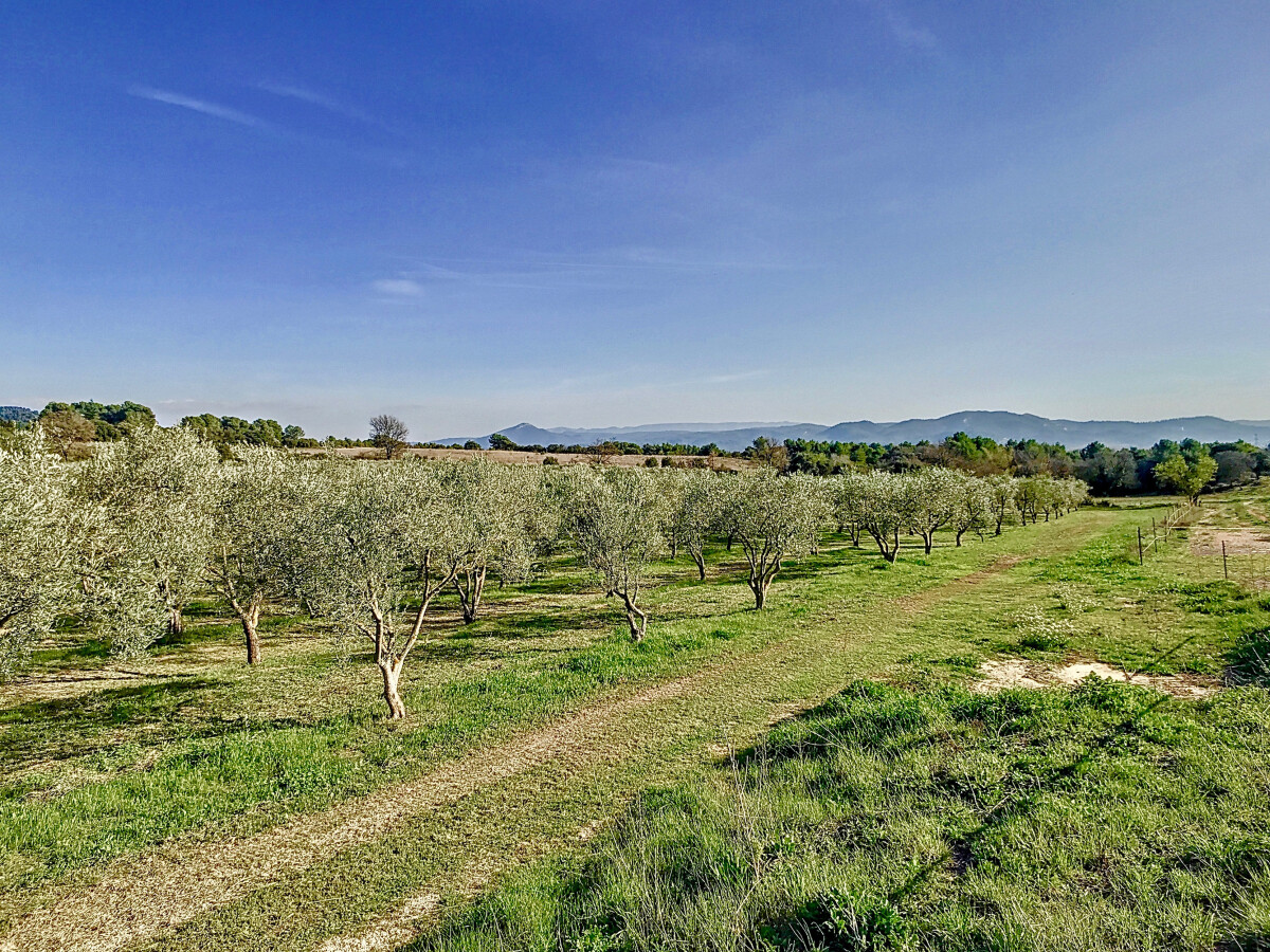 Photo 3 : Propriété - Aix-en-Provence - 570m²