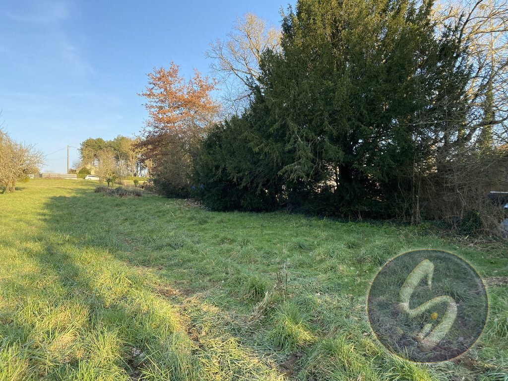 Photo 5 : Terrain constructible 1171 m2