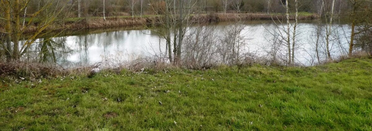 Photo 10 : Propriété avec deux étangs de pêche près de Soissons