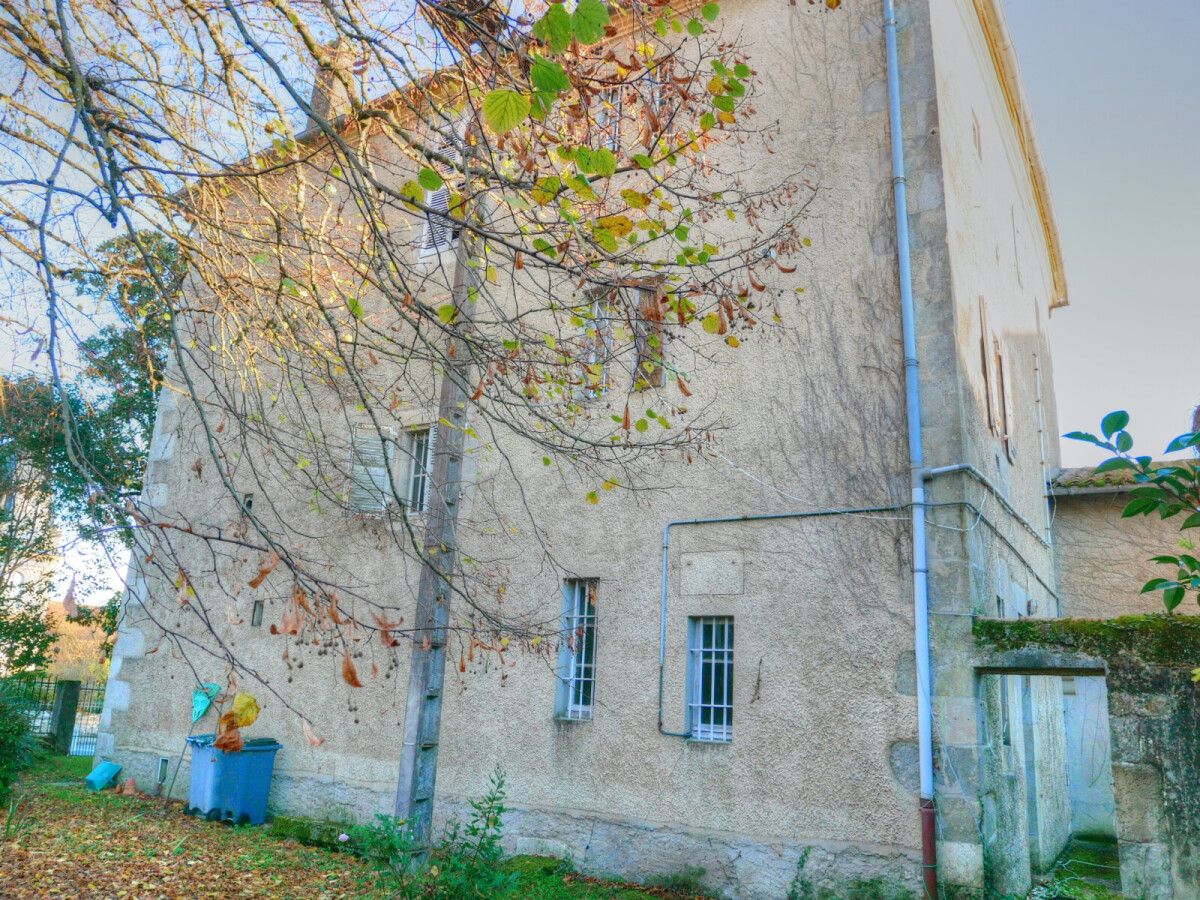 Photo 2 : Maison de maitre divisible en centre ville