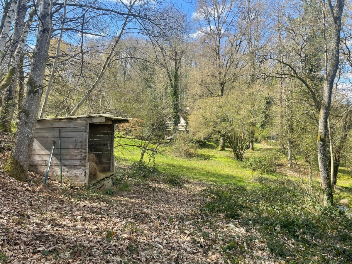 Photo 9 : Maison - Tourouvre au Perche - 230m²