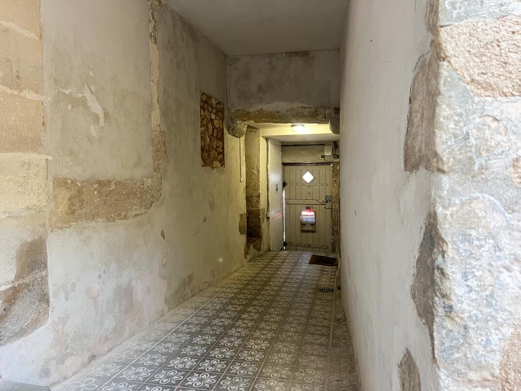 Photo 4 : Rare à Poitiers centre : Maison médiévale avec jardin, pisci