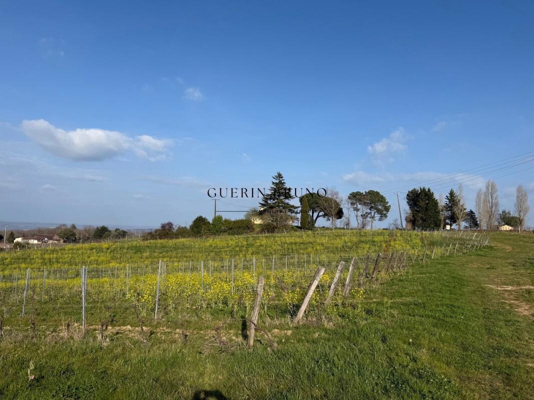 Photo 9 : PROPRIÉTÉ VITICOLE EN APPELLATION MONBAZILLAC