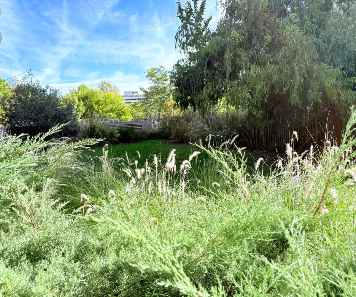 Photo 9 : Appartement - Montpellier - 66m²