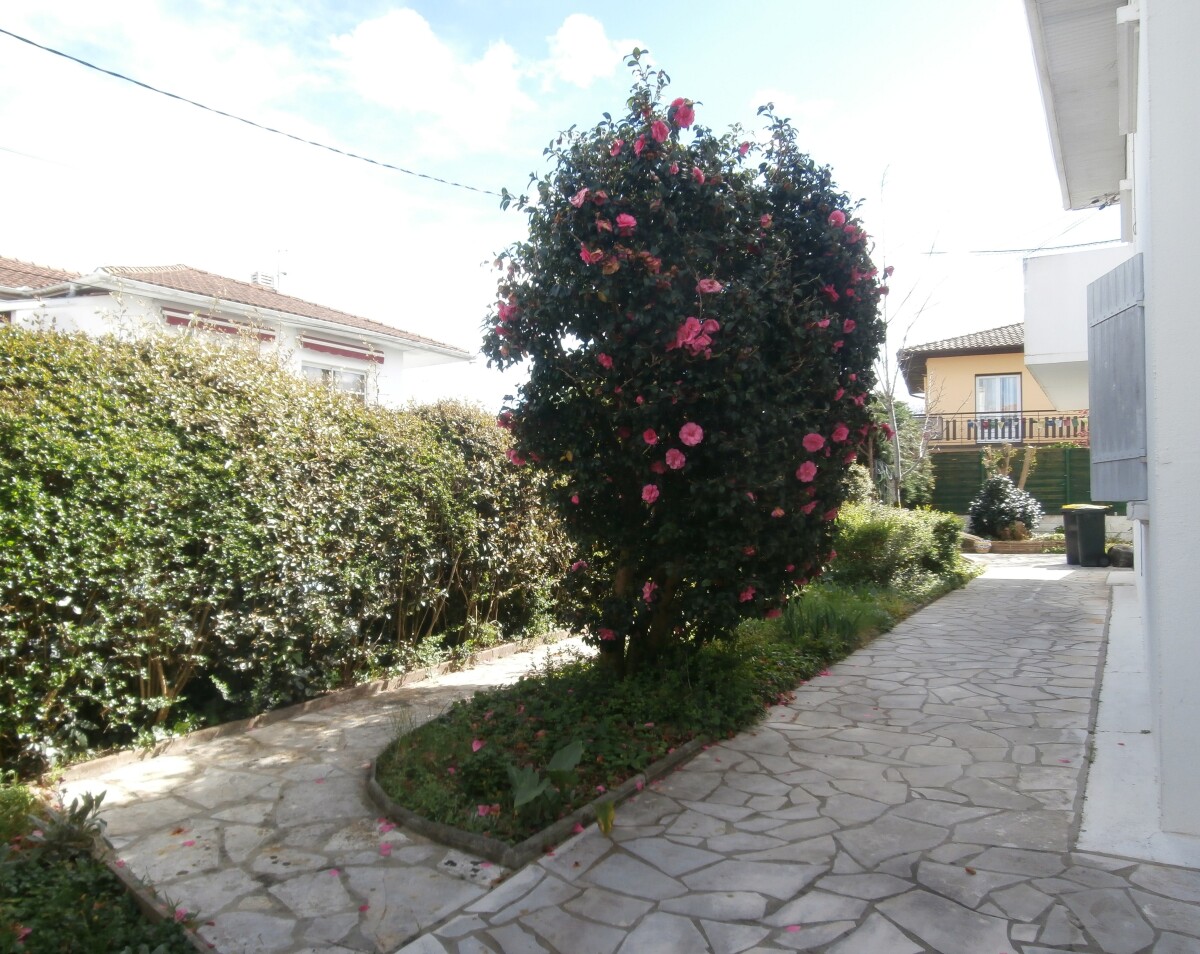 Photo 2 : Maison - Anglet - 154m²