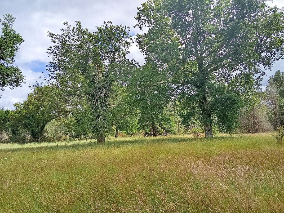 Photo 11 : Maison - Escource - 195m²