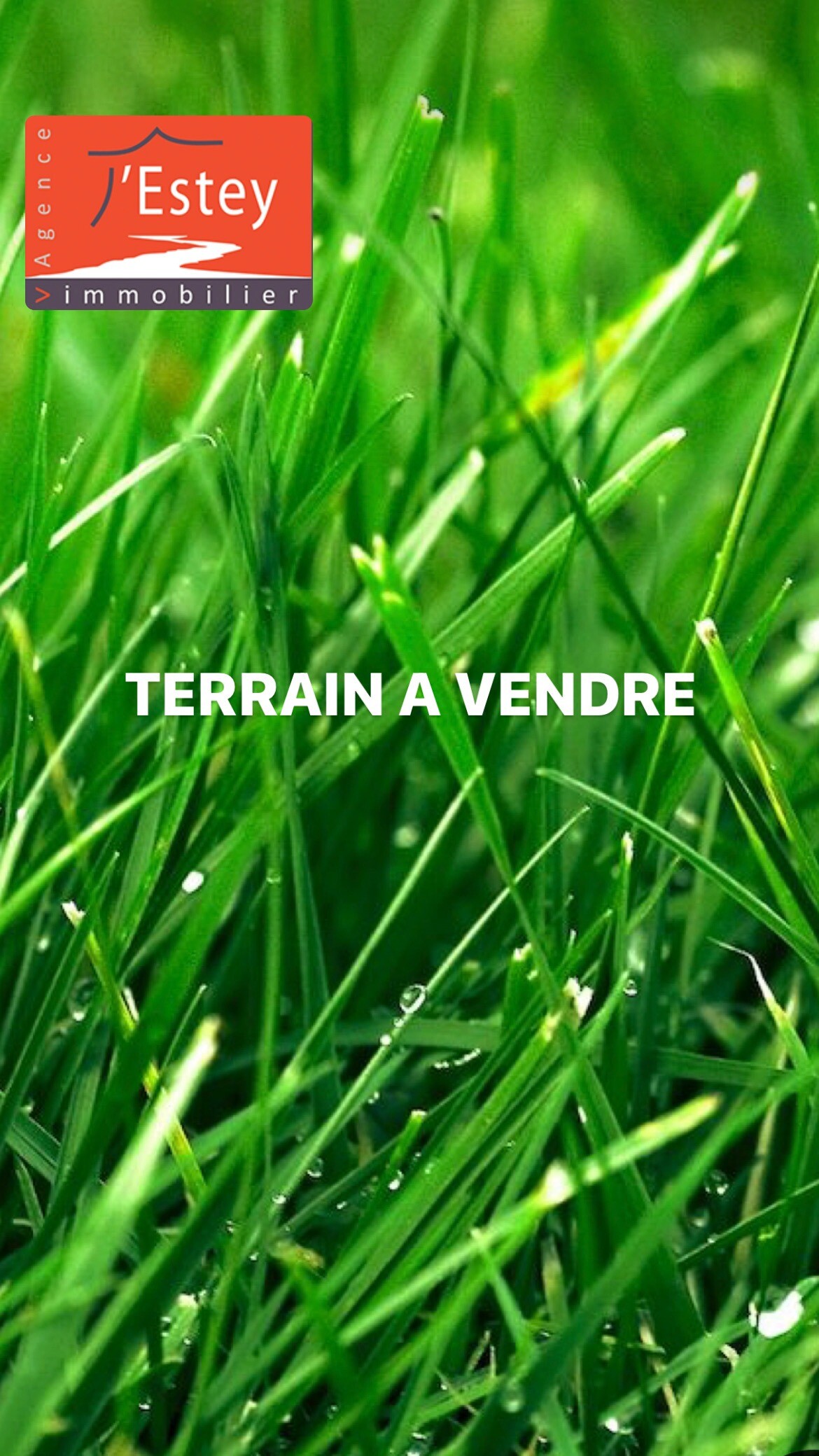 Photo 3 : Terrain - Gujan-Mestras - 853m²