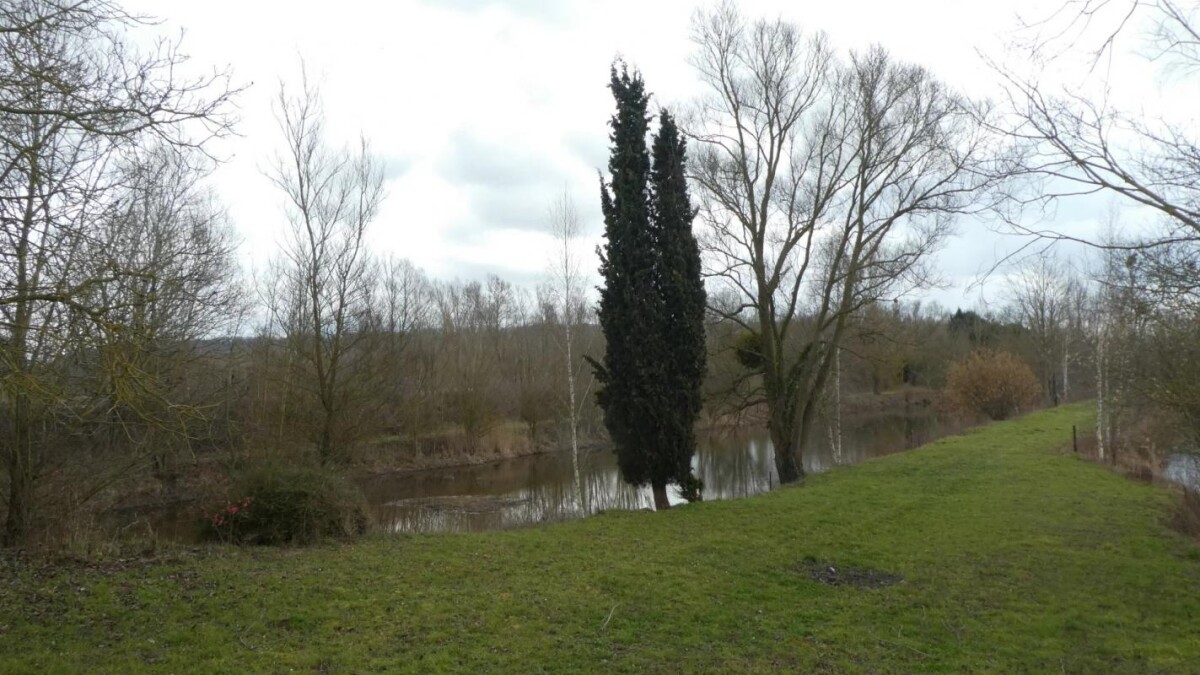 Photo 8 : Propriété avec deux étangs de pêche près de Soissons