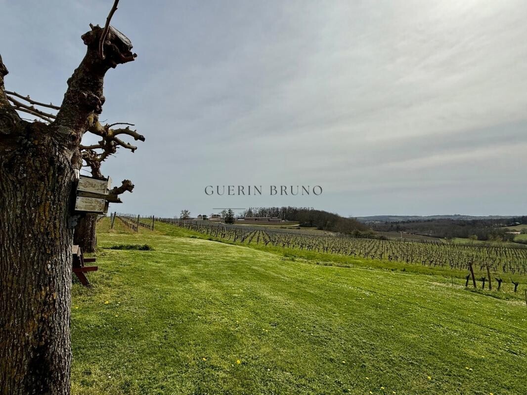 Photo 14 : Charmante maison au milieu des vignes