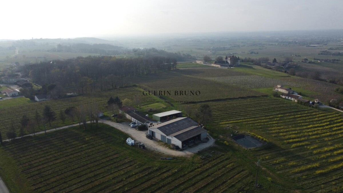 Photo 8 : PROPRIÉTÉ VITICOLE EN APPELLATION MONBAZILLAC