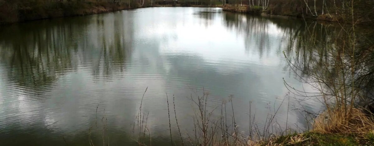 Photo 9 : Propriété avec deux étangs de pêche près de Soissons