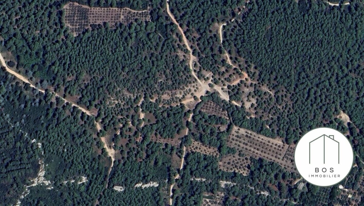 Photo 17 : Votre Mazet au coeur des Alpilles