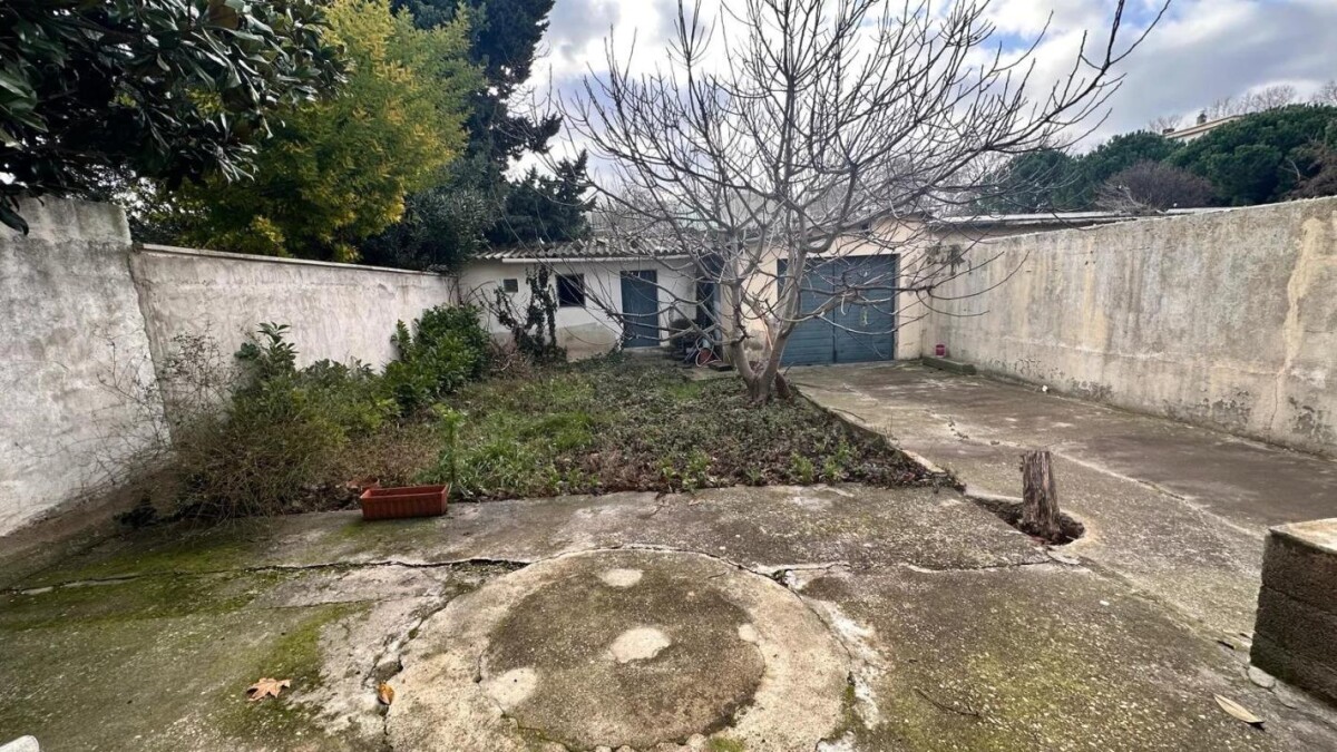 Photo 14 : Maison de ville avignonnaise avec jardin