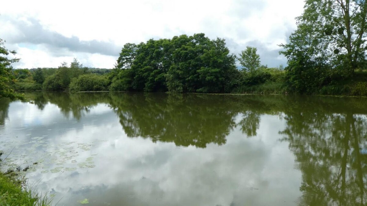 Photo 2 : Propriété avec deux étangs de pêche près de Soissons
