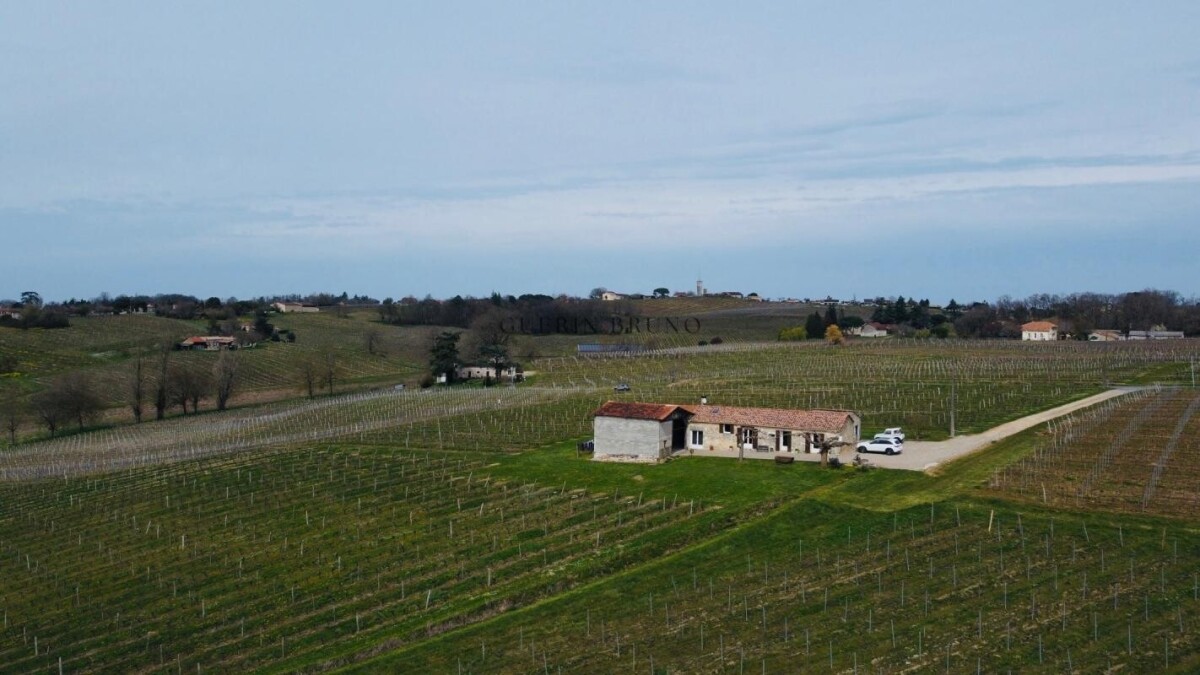 Photo 1 : Charmante maison au milieu des vignes