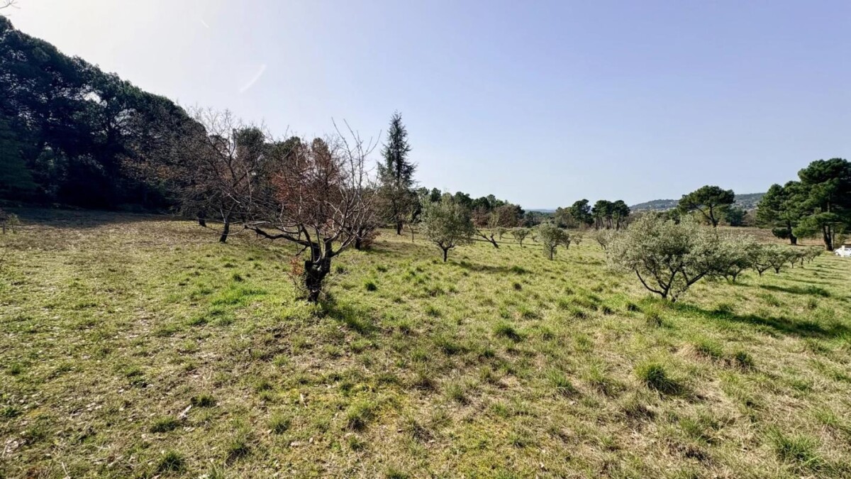 Photo 8 : Cabanon à rénover sur 1,5 hectare de nature à Mormoiron