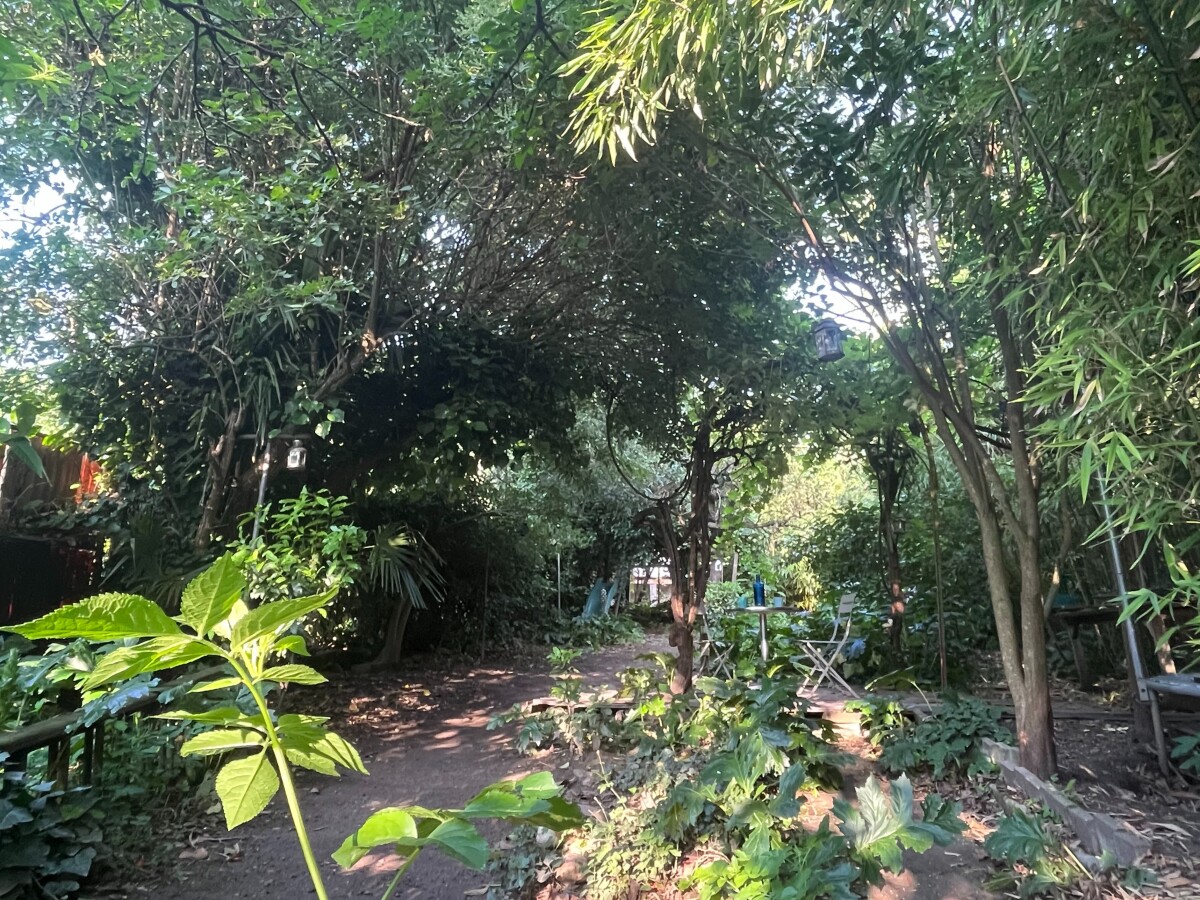 Photo 6 : Maison Côte Pavée