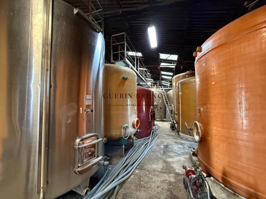 Photo 3 : PROPRIÉTÉ VITICOLE EN APPELLATION MONBAZILLAC