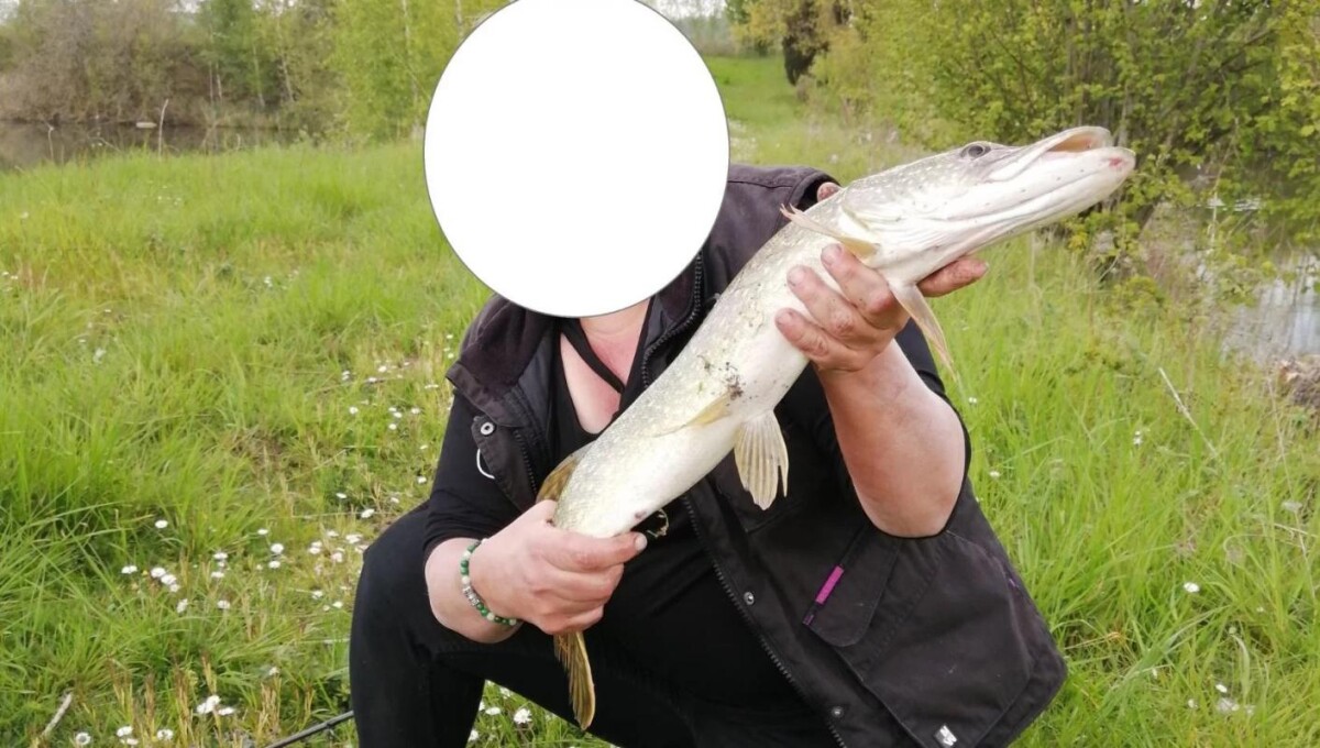 Photo 3 : Propriété avec deux étangs de pêche près de Soissons