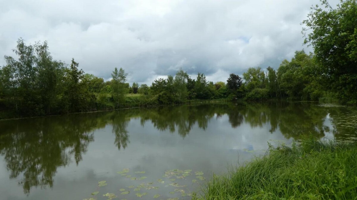 Photo 5 : Propriété avec deux étangs de pêche près de Soissons