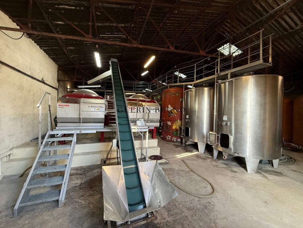 Photo 4 : PROPRIÉTÉ VITICOLE EN APPELLATION MONBAZILLAC