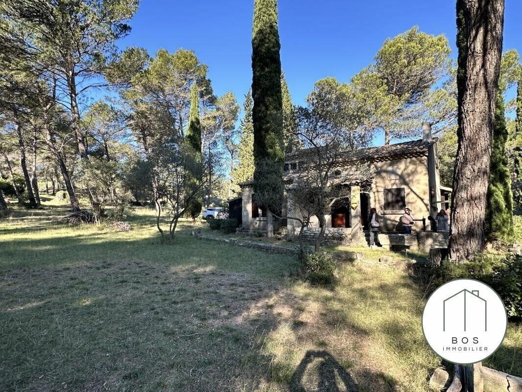 Photo 1 : Votre Mazet au coeur des Alpilles