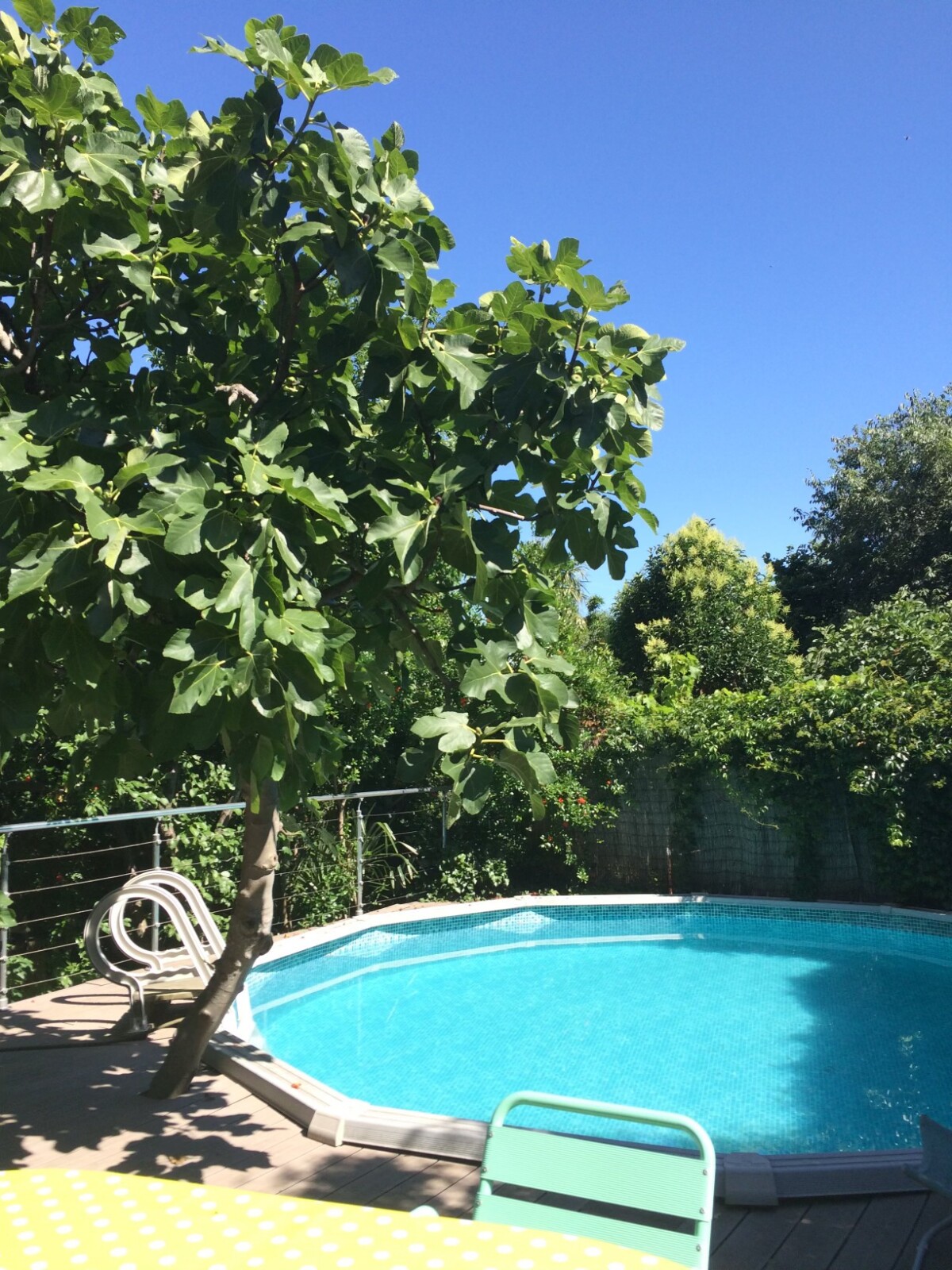 Photo 4 : Maison Côte Pavée