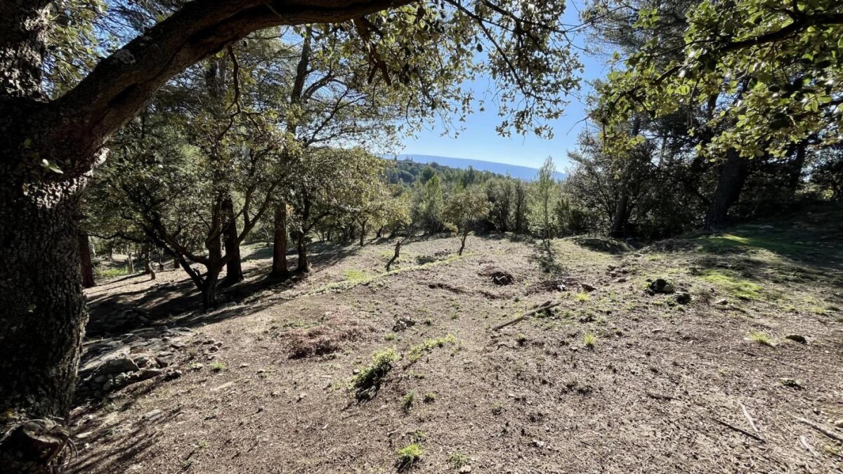 Photo 18 : Bastide de  charme sur les hauteurs de St Antoine à l'Isle sur la Sorgue