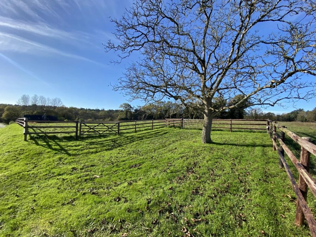 Photo 6 : Propriété d'exception Longère rénovée 204 m² habitables 3,3 hectares avec Paddocks - 25 minutes de Vannes