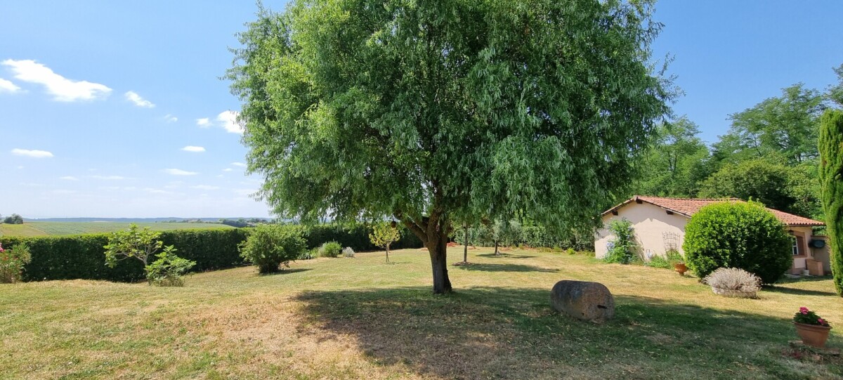 Photo 10 : Maison - Auterive - 230m²