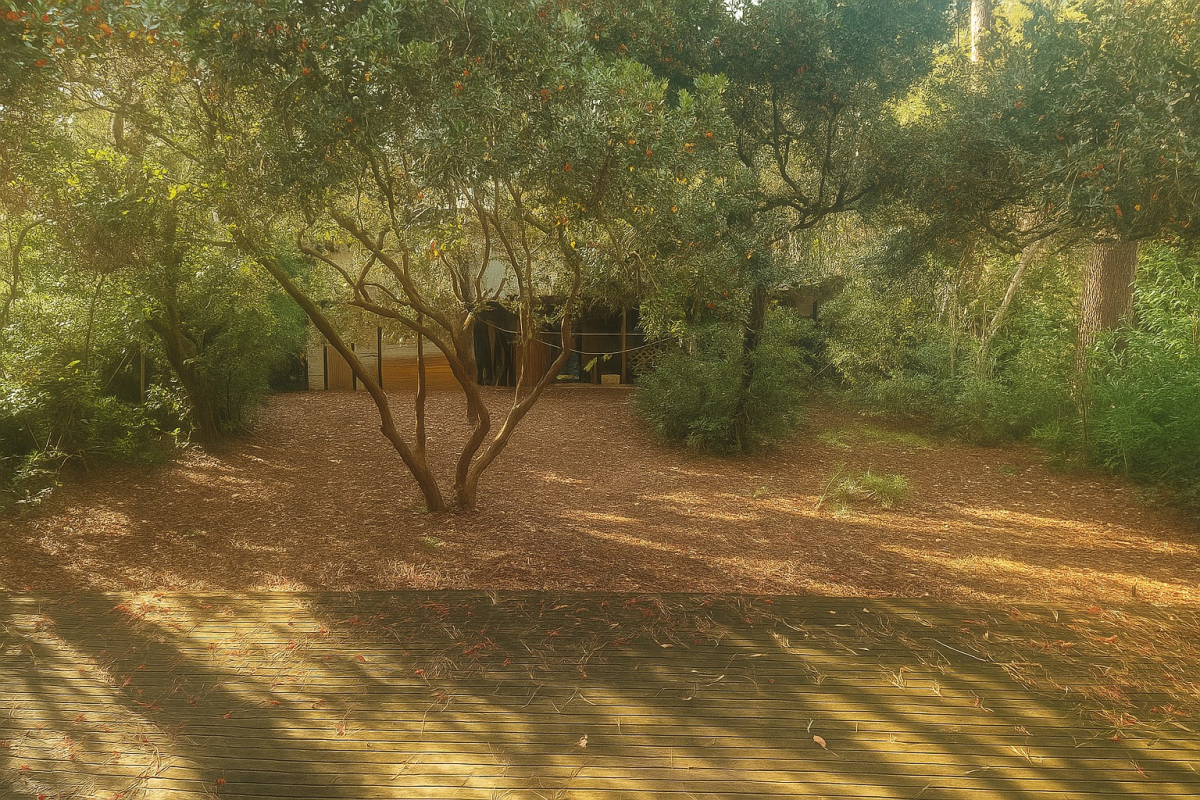 Photo 4 : Maison - Pyla-sur-Mer - 130m²