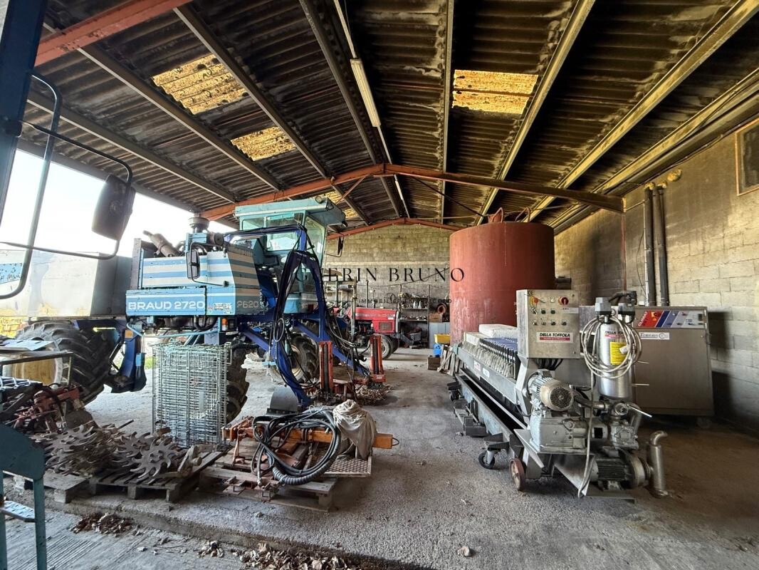 Photo 11 : PROPRIÉTÉ VITICOLE EN APPELLATION MONBAZILLAC