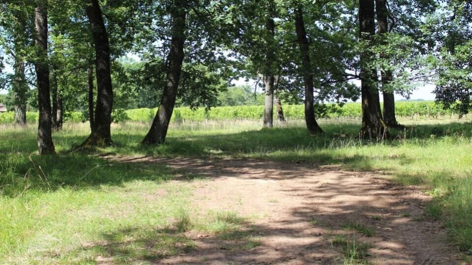 Photo 3 : Propriété - 60ha foncier, 1000m² de bâtiments