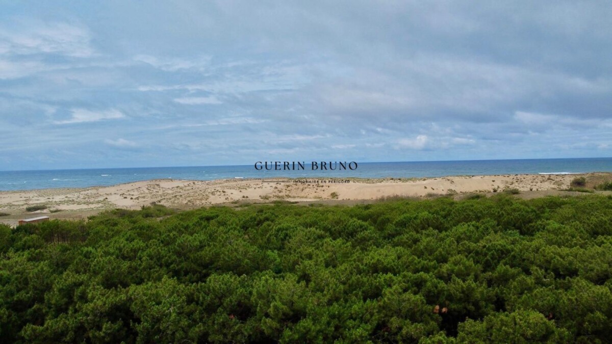 Photo 12 : Villa de famille Cap Ferret