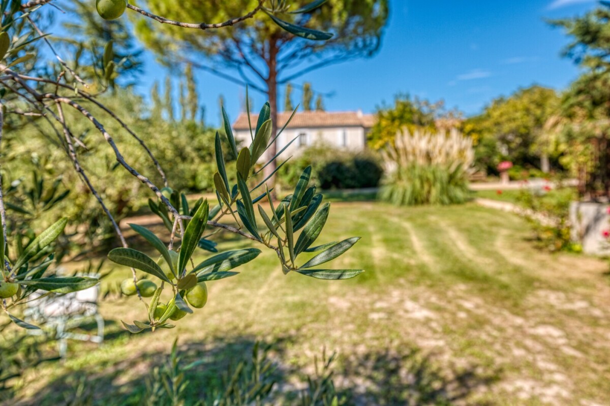 Photo 11 : Propriété - Orange - 710m²