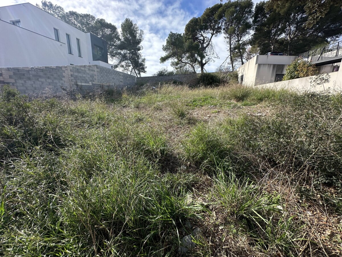 Photo 1 : Terrain - Frontignan - 515m²