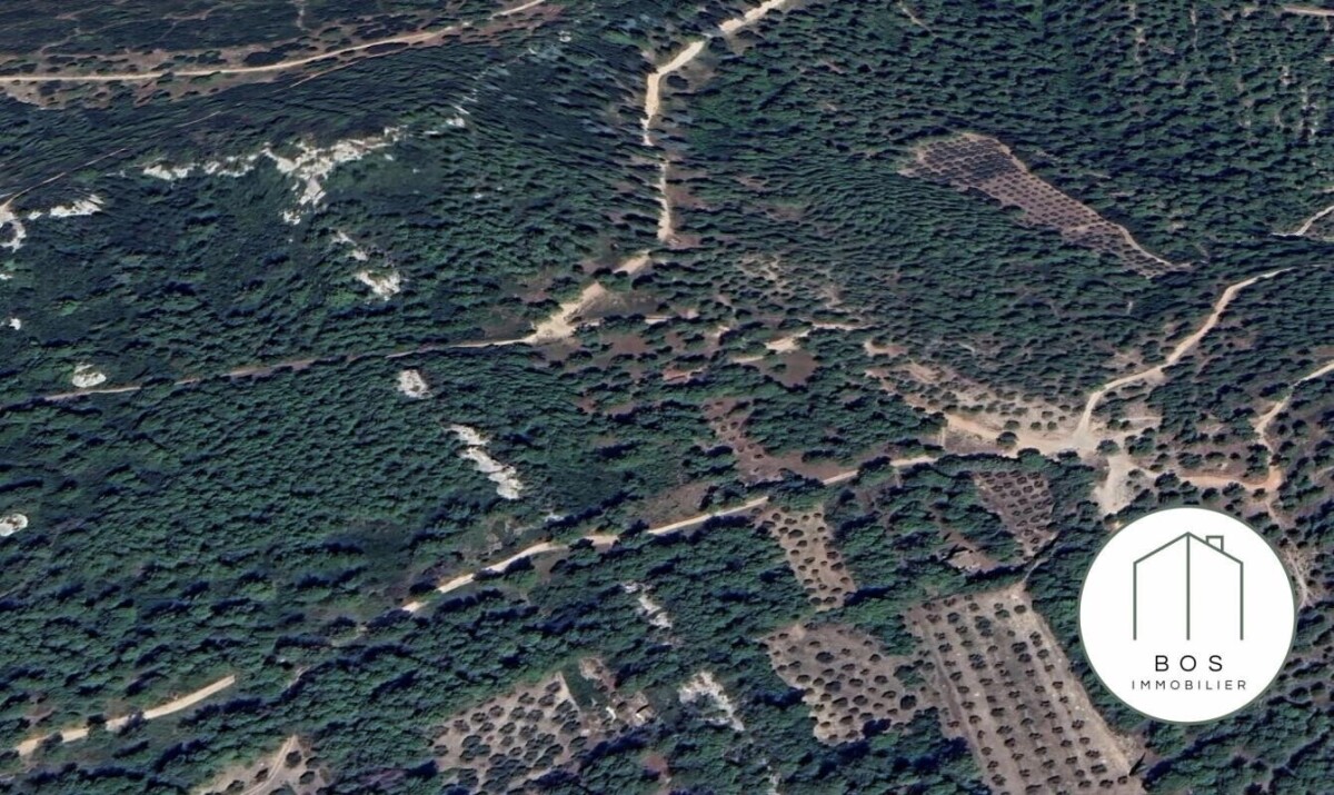 Photo 16 : Votre Mazet au coeur des Alpilles