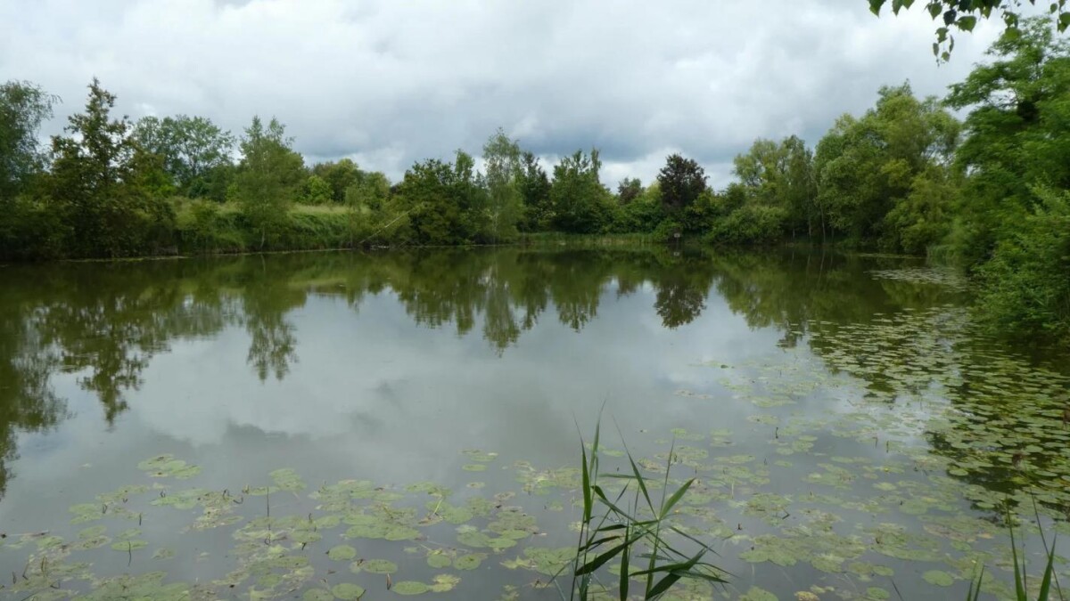Photo 1 : Propriété avec deux étangs de pêche près de Soissons