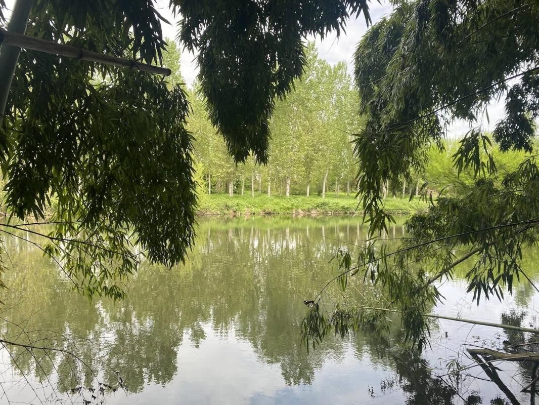 Photo 8 : Maison de maître rénovée avec chapelle et parc près de Castres