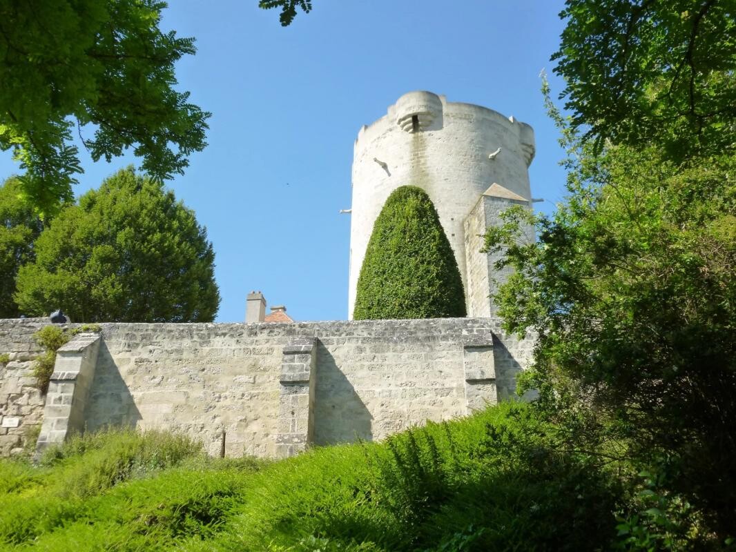 Photo 2 : Château Médiéval Classé MH à Vendre - Près de Soissons