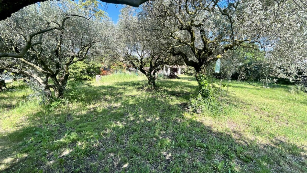 Photo 23 : Villa avec gite et dépendances à Aubignan dans le Vaucluse
