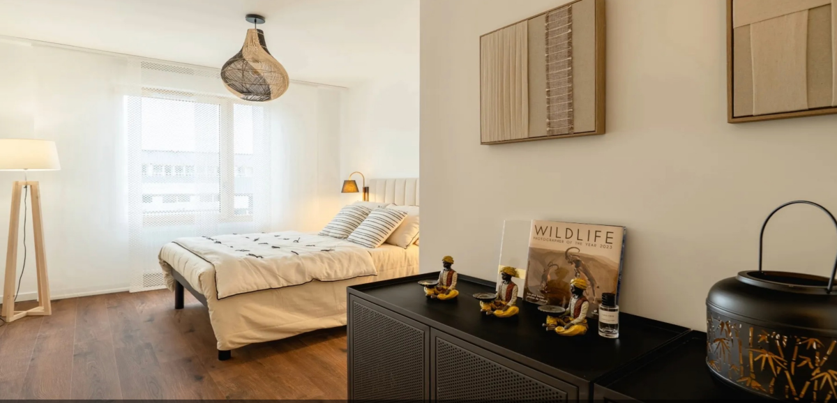 Photo 5 : T5 toit terrasse Rooftop- Annecy - 112m²