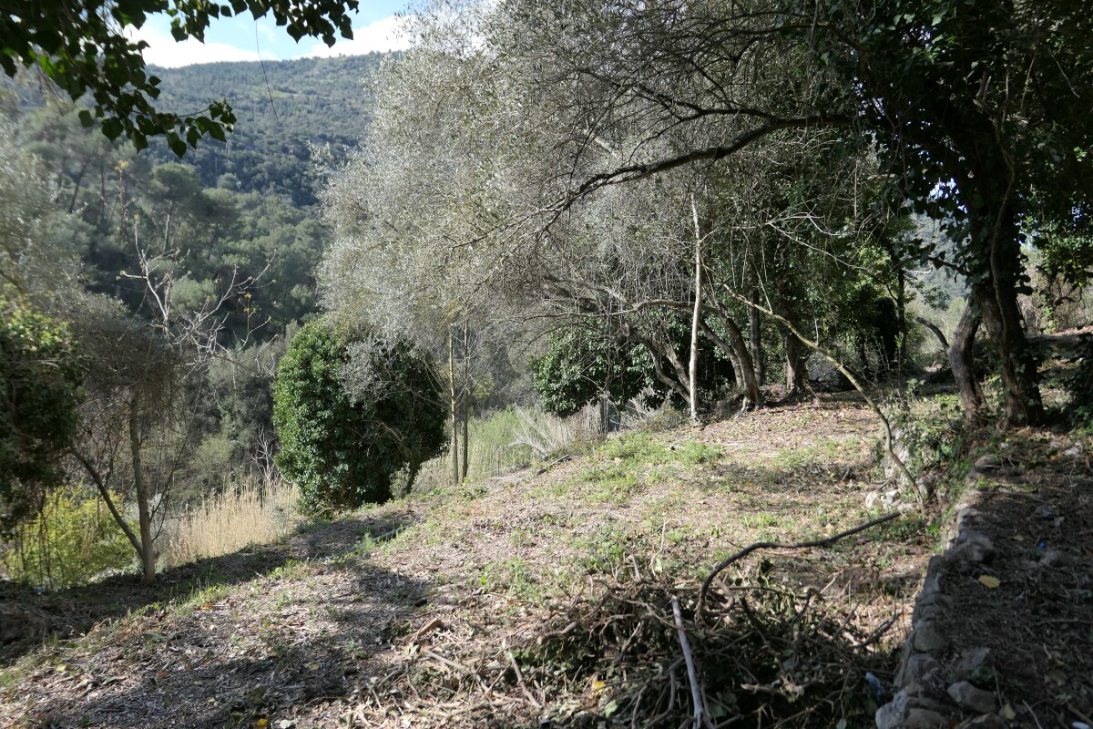 Photo 3 : Terrain à bâtir - La Trinité - 2000m²