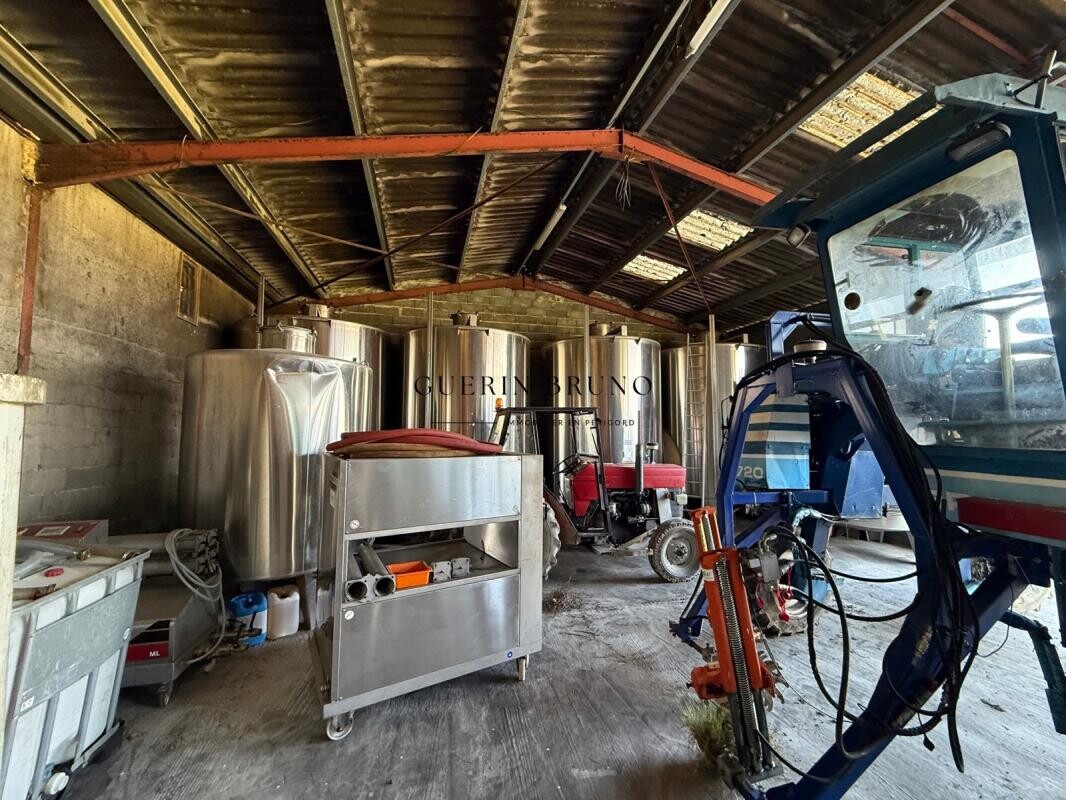 Photo 12 : PROPRIÉTÉ VITICOLE EN APPELLATION MONBAZILLAC