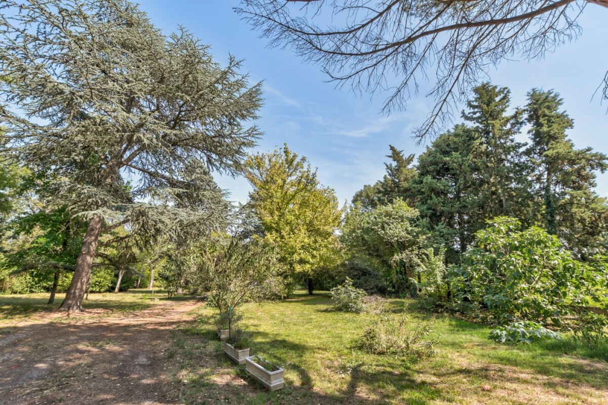 Photo 9 : Maison - Pins-Justaret - 253m²