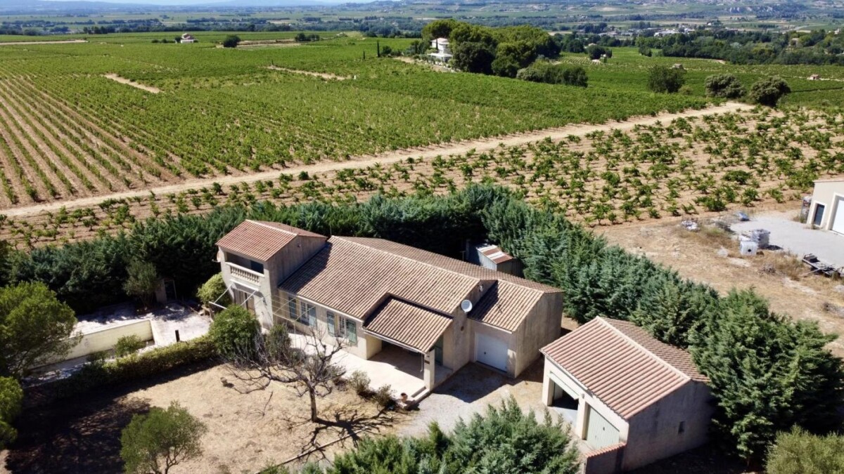 Photo 18 : Villa avec dépendances au milieu des vignes à Gigondas