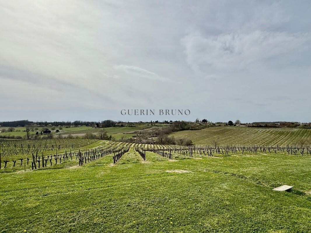 Photo 13 : Charmante maison au milieu des vignes